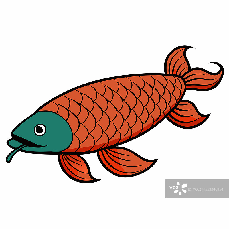 孤立在白色背景上的龙鱼图片素材