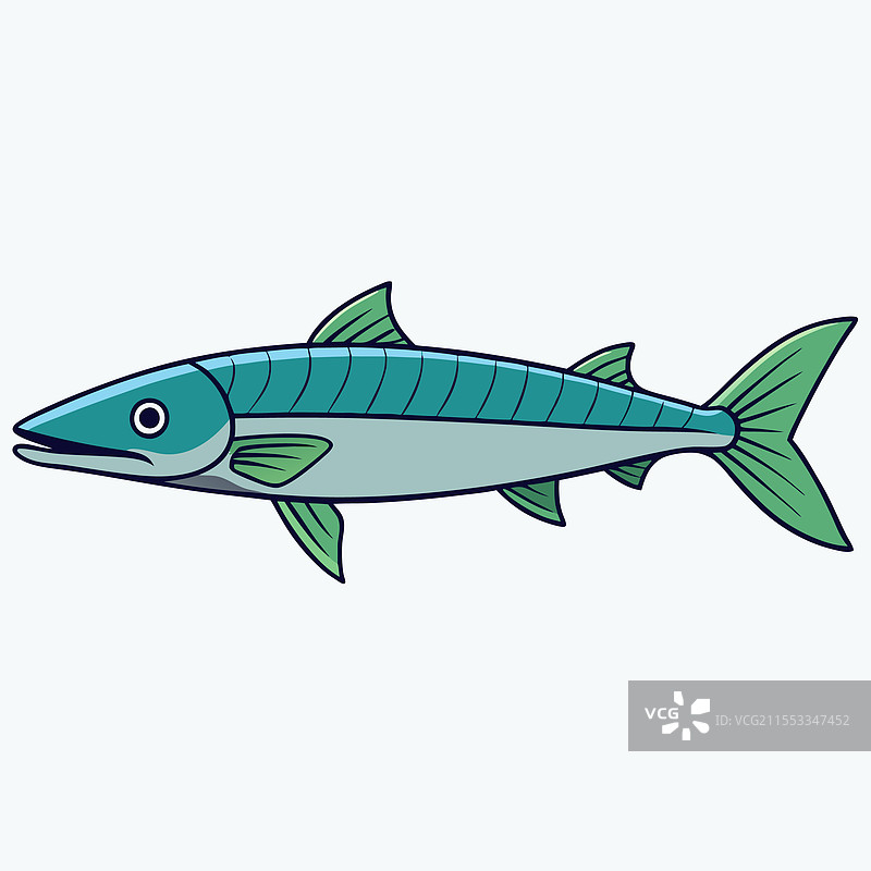 孤立的梭鱼平放在白色背景上图片素材