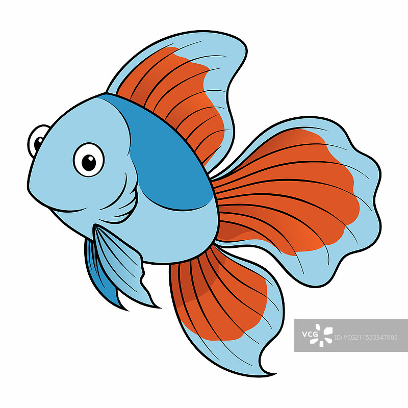 孤立在白色背景上的斗鱼图片素材