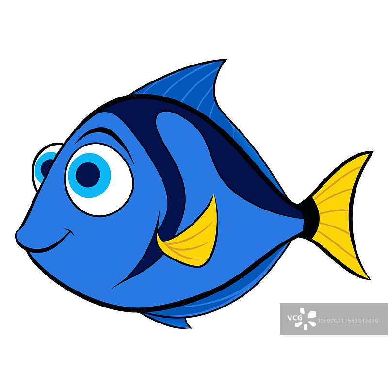 蓝色唐鱼在白色背景上孤立展示图片素材