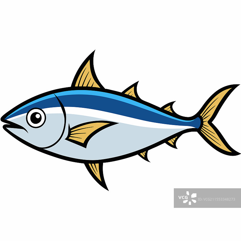 孤立在白色背景上的 bonito 鱼图片素材