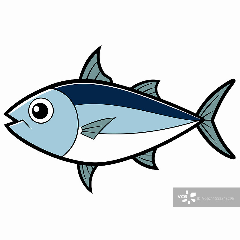 孤立在白色背景上的 bonito 鱼图片素材