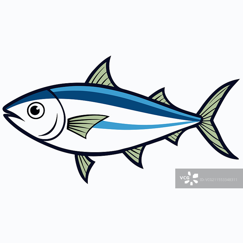 孤立的 bonito 鱼，平放在白色背景上图片素材