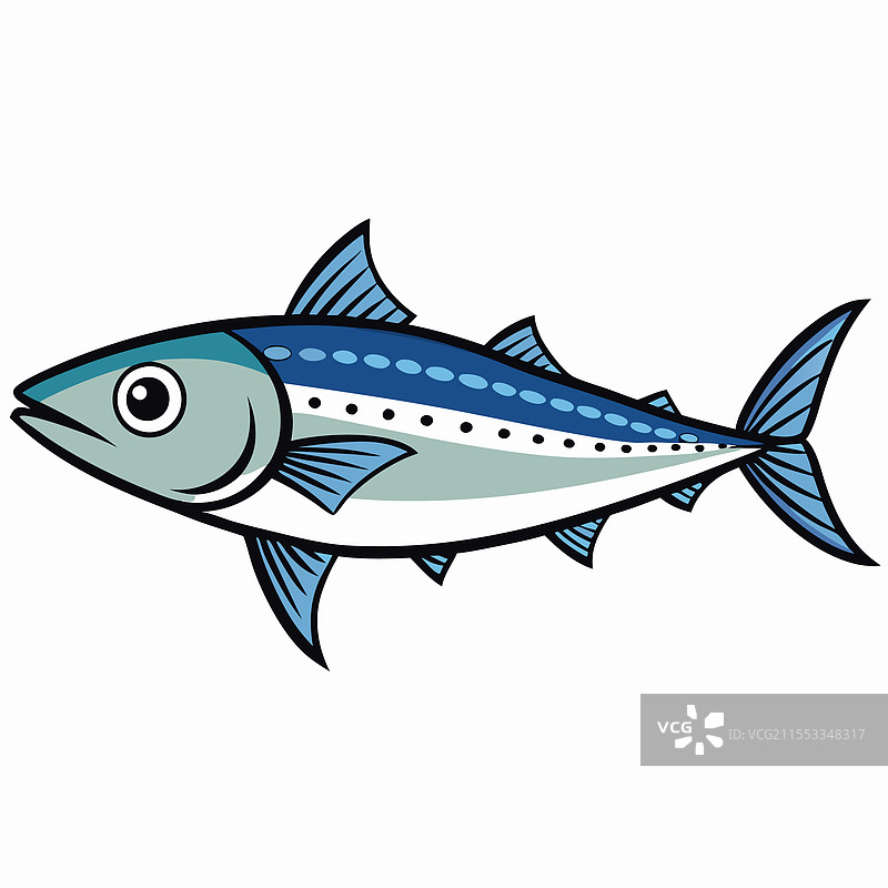 孤立的 bonito 鱼，平放在白色背景上图片素材