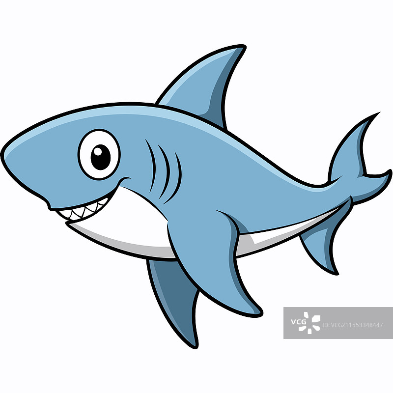 孤立在白色背景上的公牛鲨鱼鱼类图片素材