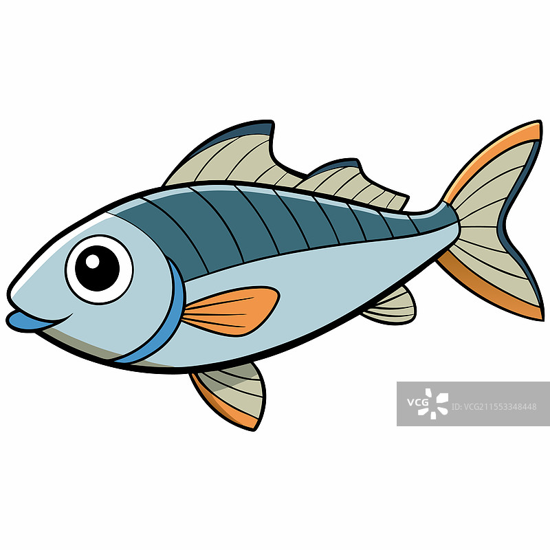 孤立的鲣鱼平放在白色背景上图片素材