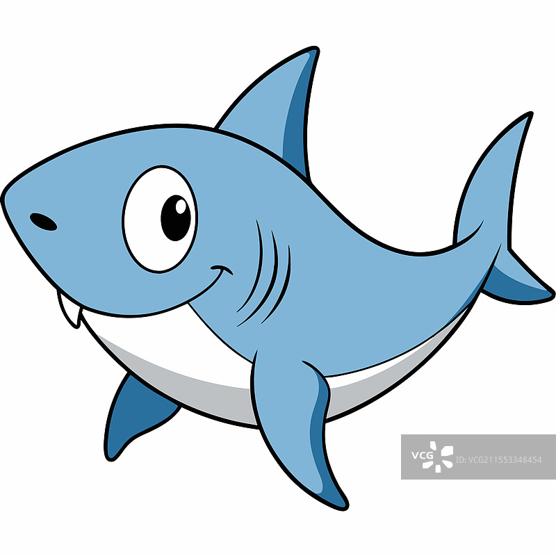 孤立在白色背景上的公牛鲨鱼鱼类图片素材
