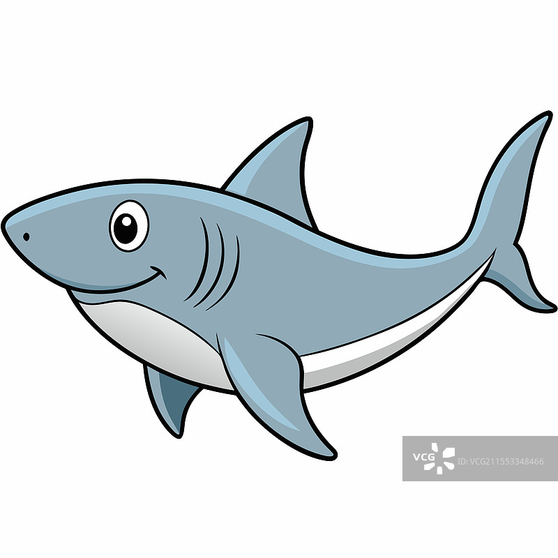 孤立在白色背景上的公牛鲨鱼鱼类图片素材