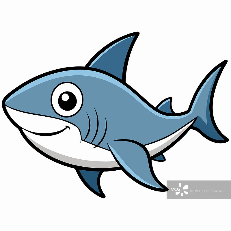 孤立在白色背景上的公牛鲨鱼鱼类图片素材