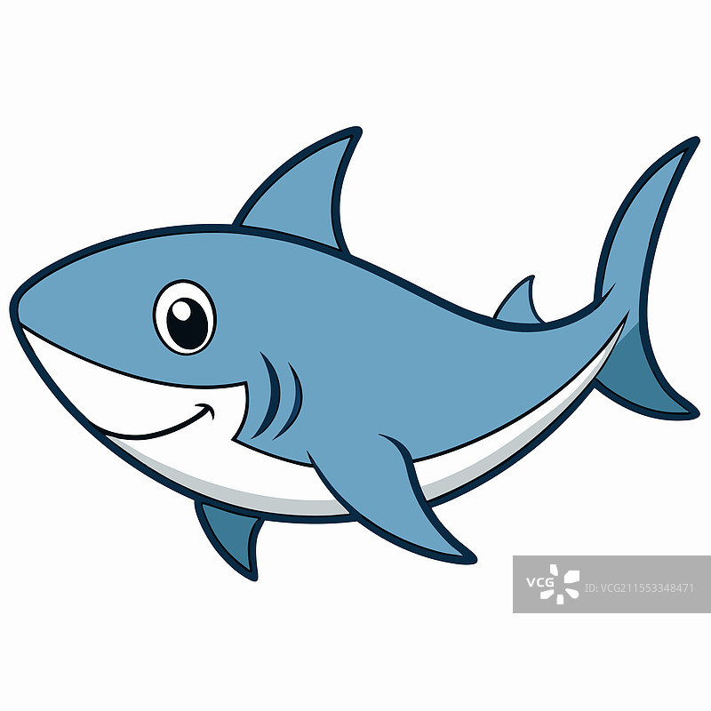 孤立在白色背景上的公牛鲨鱼鱼类图片素材