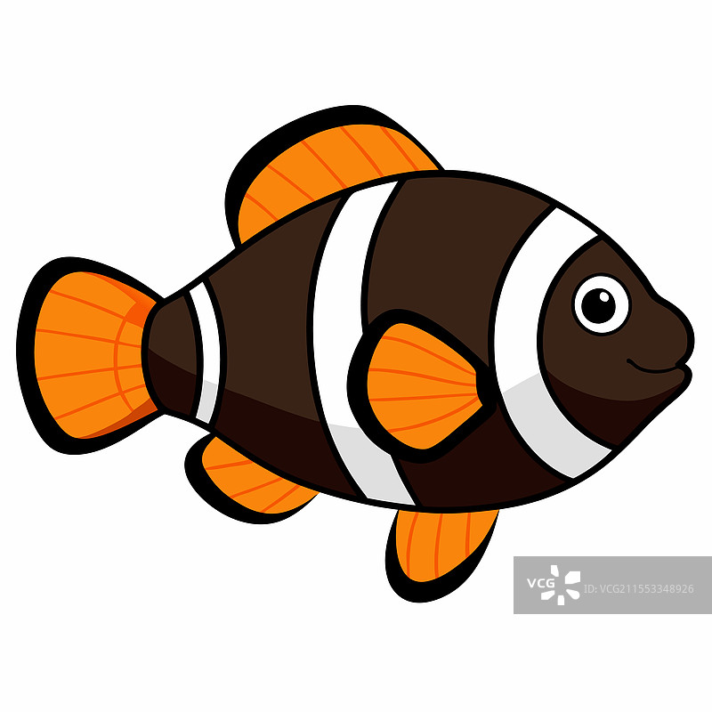 孤独的小丑鱼在白色背景上平铺展示图片素材