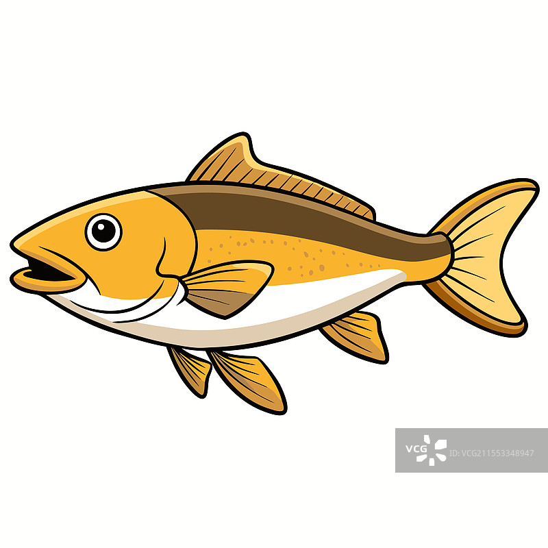 鳕鱼在白色背景上孤立展示图片素材