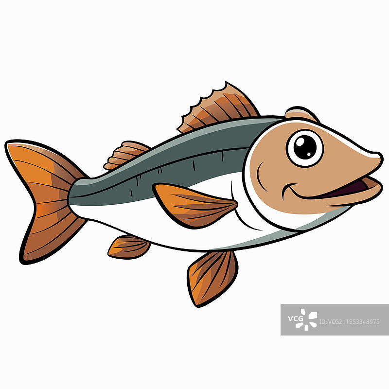 鳕鱼在白色背景上孤立展示图片素材