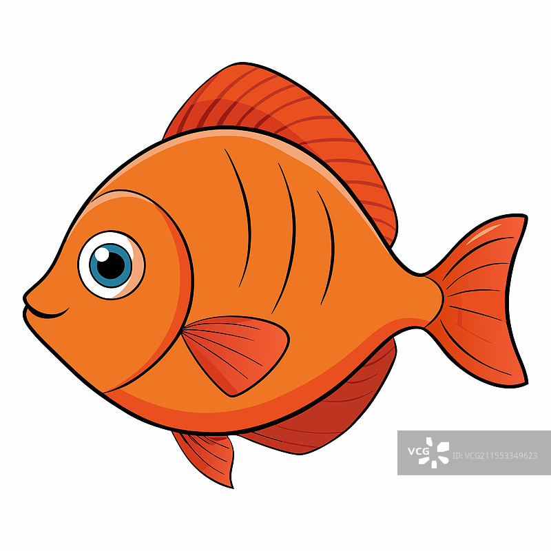 孤立的圆尾鱼平放在白色背景上图片素材