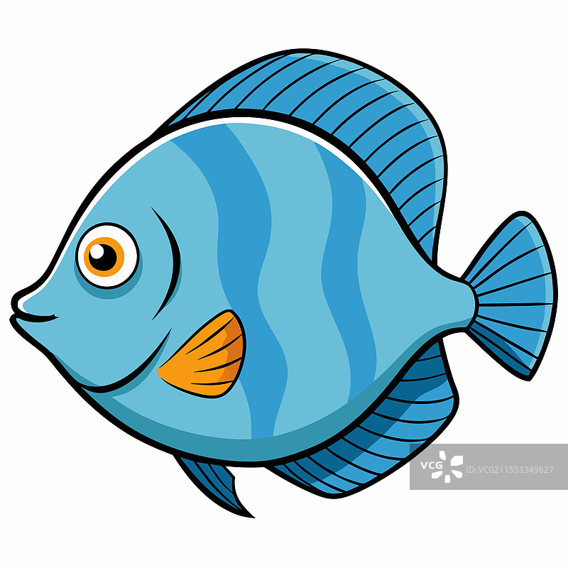 孤立的圆尾鱼平放在白色背景上图片素材