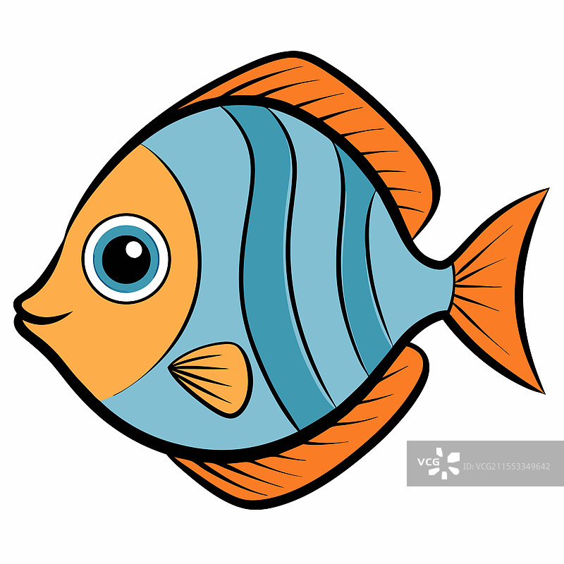 孤立的圆尾鱼平放在白色背景上图片素材