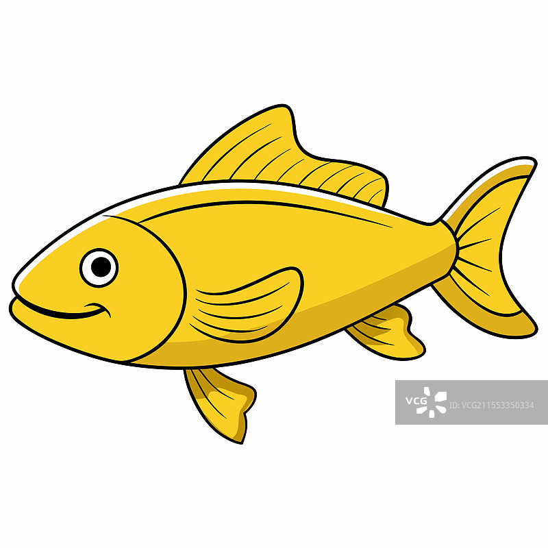 孤立的长吻鱼平放在白色背景上图片素材