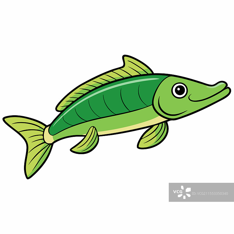 孤立的长吻针鱼平放在白色背景上图片素材