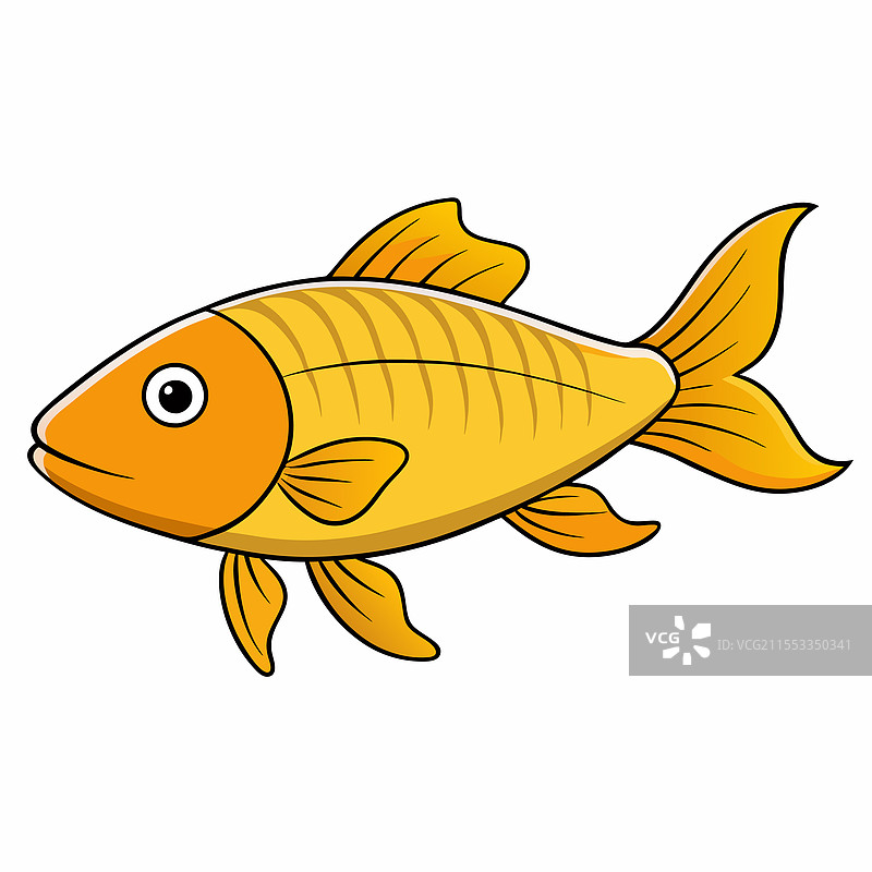 孤立的长吻鱼平放在白色背景上图片素材