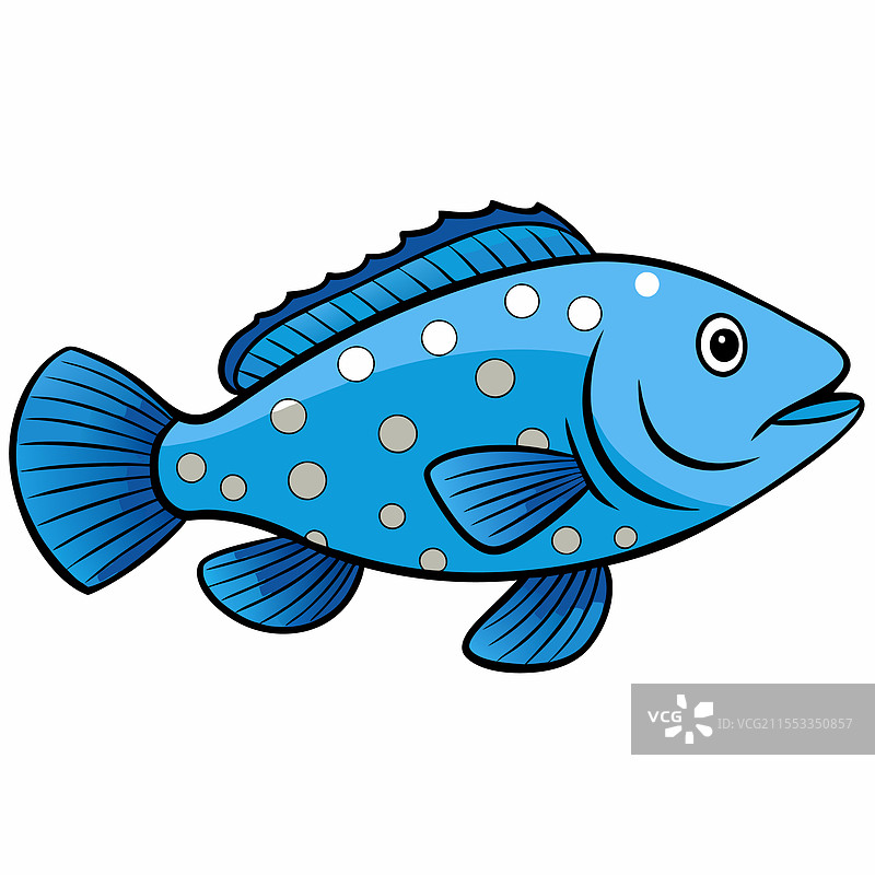 孤立在白色背景上的石斑鱼图片素材