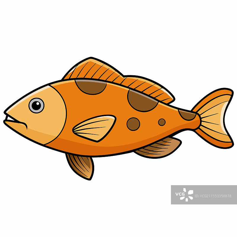 孤立在白色背景上的石斑鱼图片素材