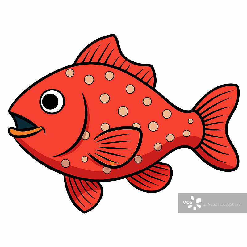 孤立在白色背景上的石斑鱼图片素材