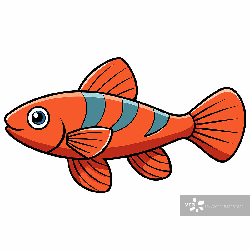 孤立的孔雀鱼平放在白色背景上图片素材