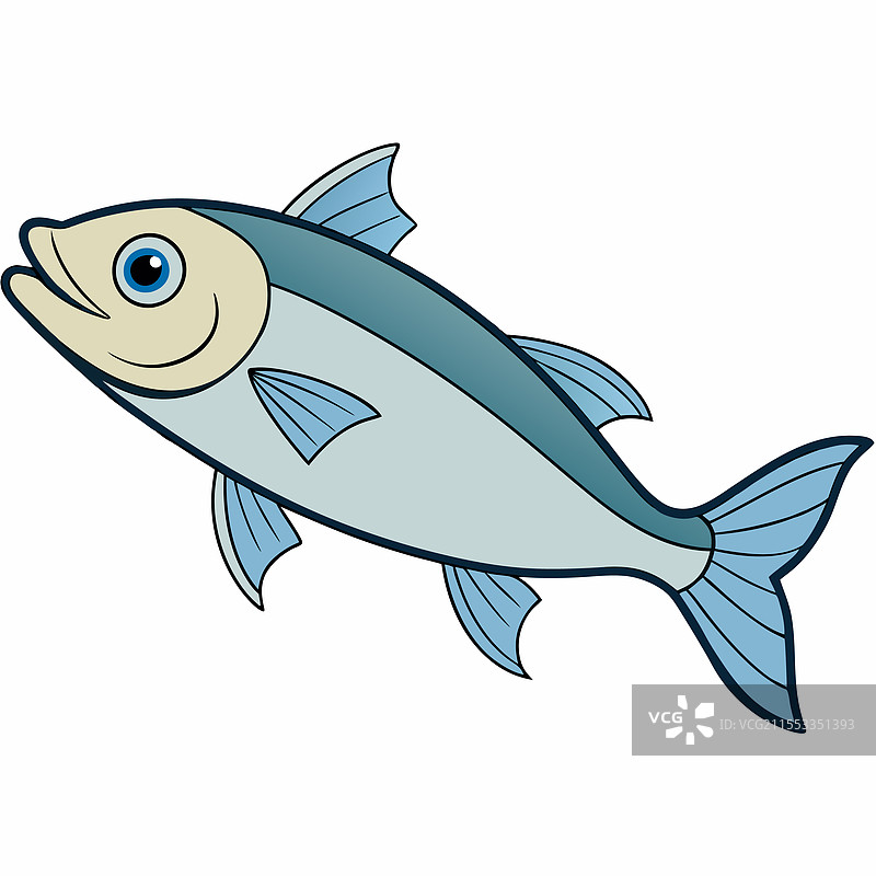 鳕鱼在白色背景上平放的孤立图像图片素材