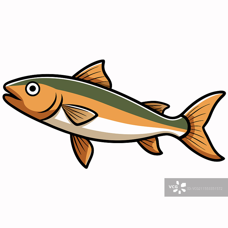 孤立在白色背景上的黑线鳕鱼图片素材