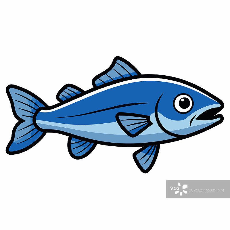 鳕鱼在白色背景上平放的孤立图像图片素材