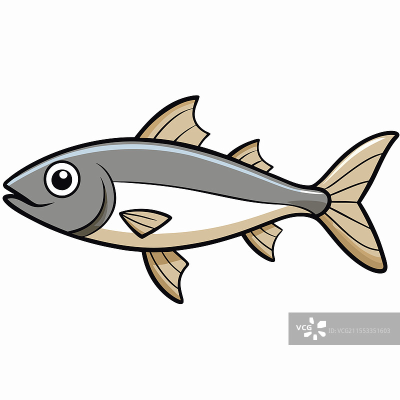 鳕鱼在白色背景上平放的孤立图像图片素材