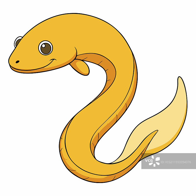 孤立在白色背景上的鳗鱼图片素材