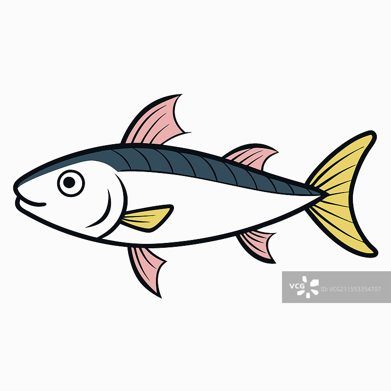 孤立的鲻鱼，平放在白色背景上图片素材