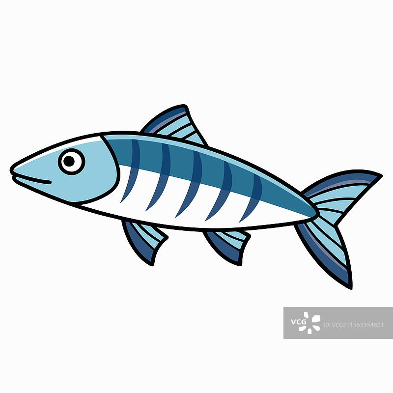 孤立的鲻鱼，平放在白色背景上图片素材