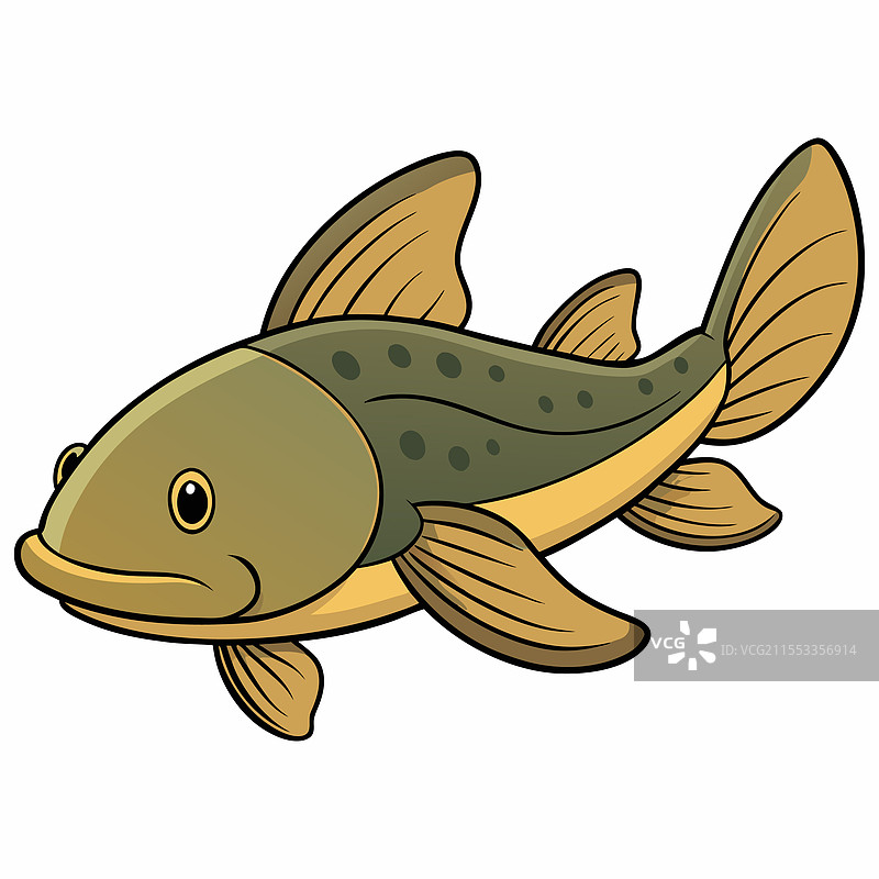 孤立的鹦鹉鱼平放在白色背景上图片素材