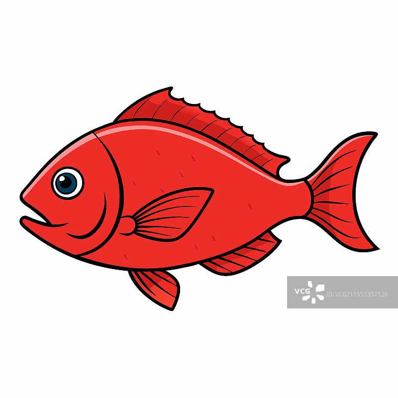 红鲷鱼在白色背景上平放孤立。图片素材