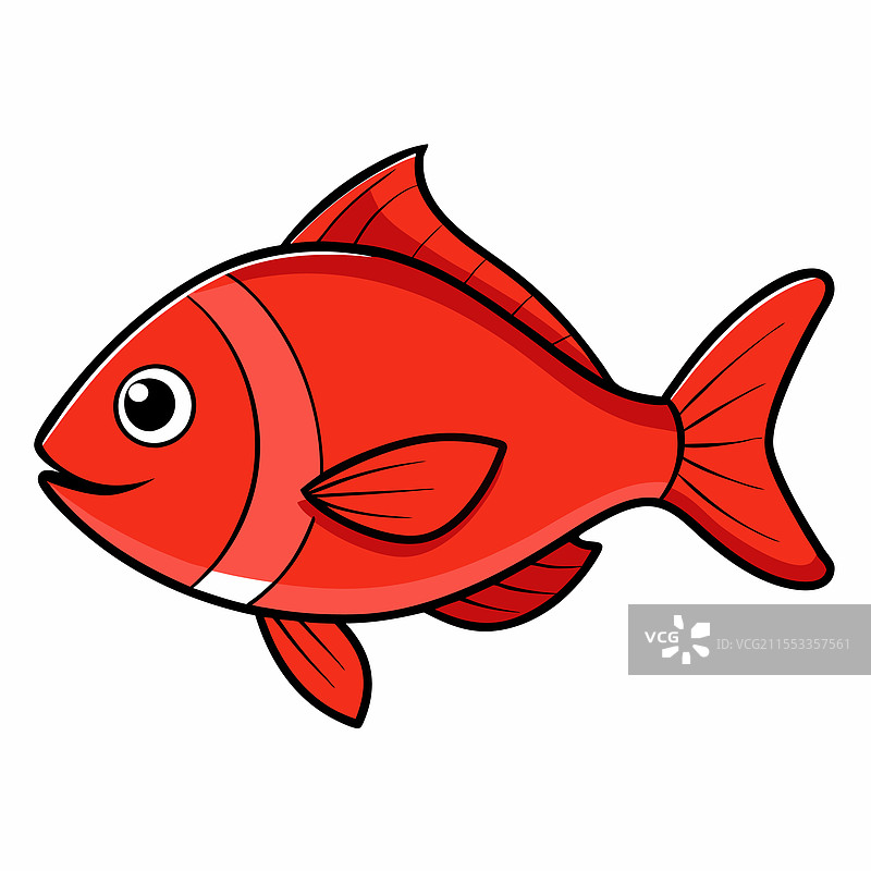 红鲷鱼在白色背景上平放孤立。图片素材