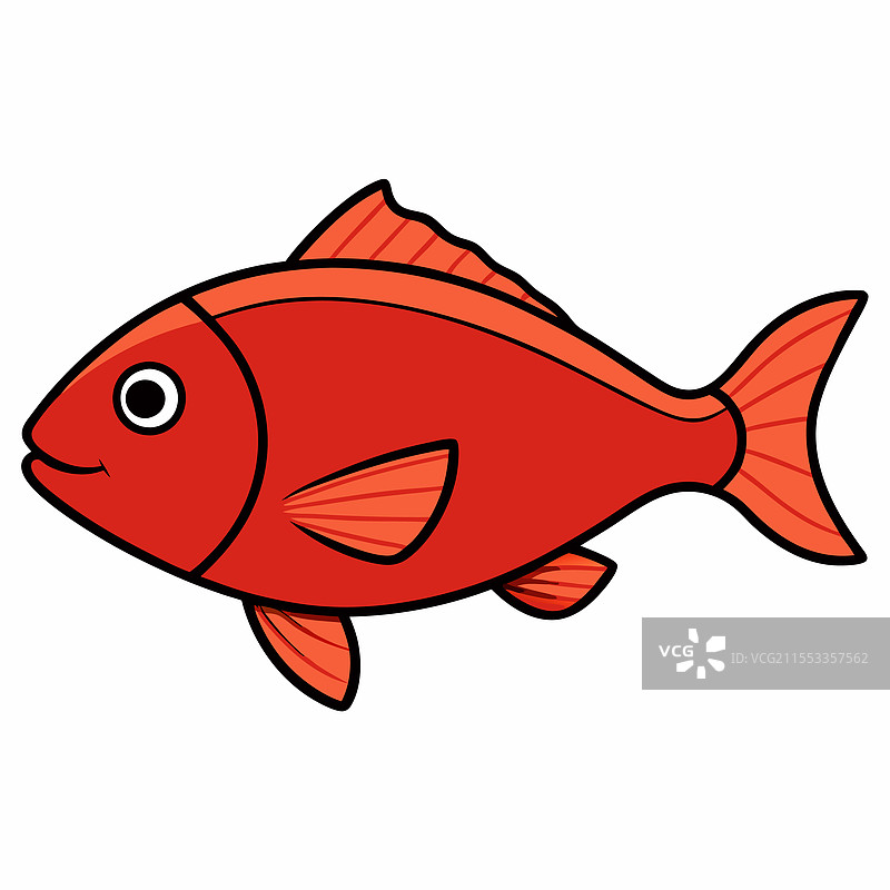 红鲷鱼在白色背景上平放孤立。图片素材