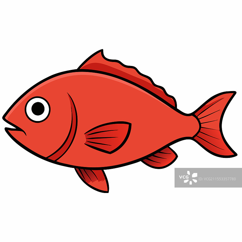 红鲷鱼在白色背景上平放孤立。图片素材