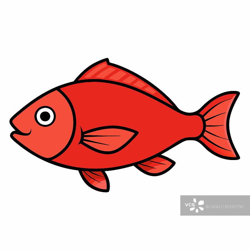 红鲷鱼在白色背景上平放孤立。图片素材
