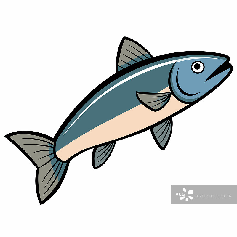 鲑鱼鱼类在白色背景上平铺展示图片素材