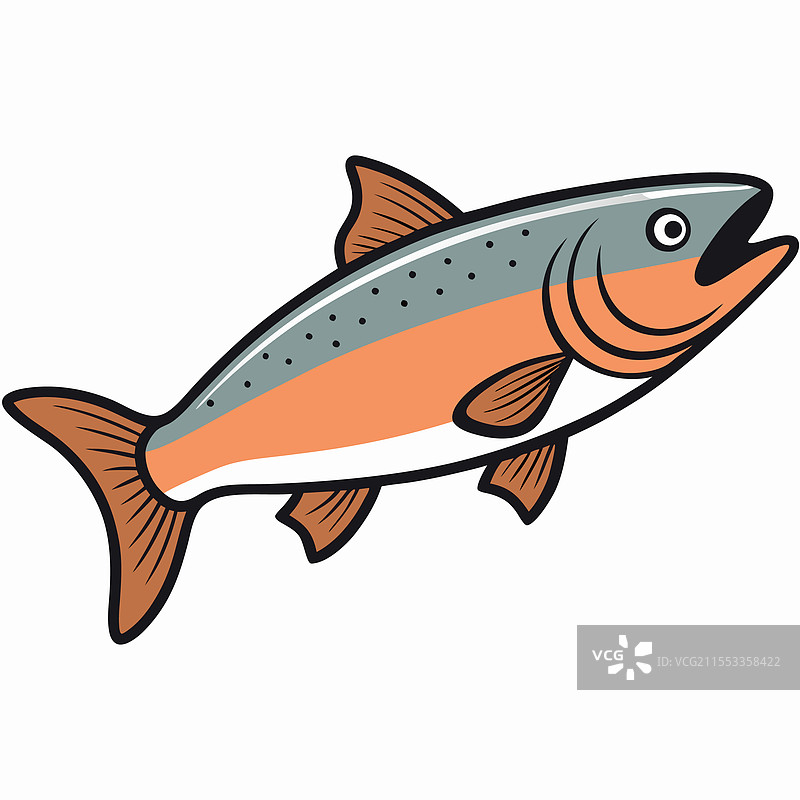 鲑鱼鱼类在白色背景上平放孤立。图片素材