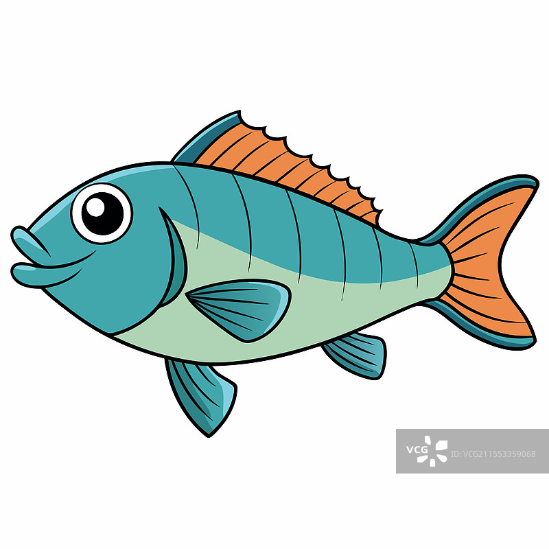 海鲈鱼在白色背景上孤立展示图片素材