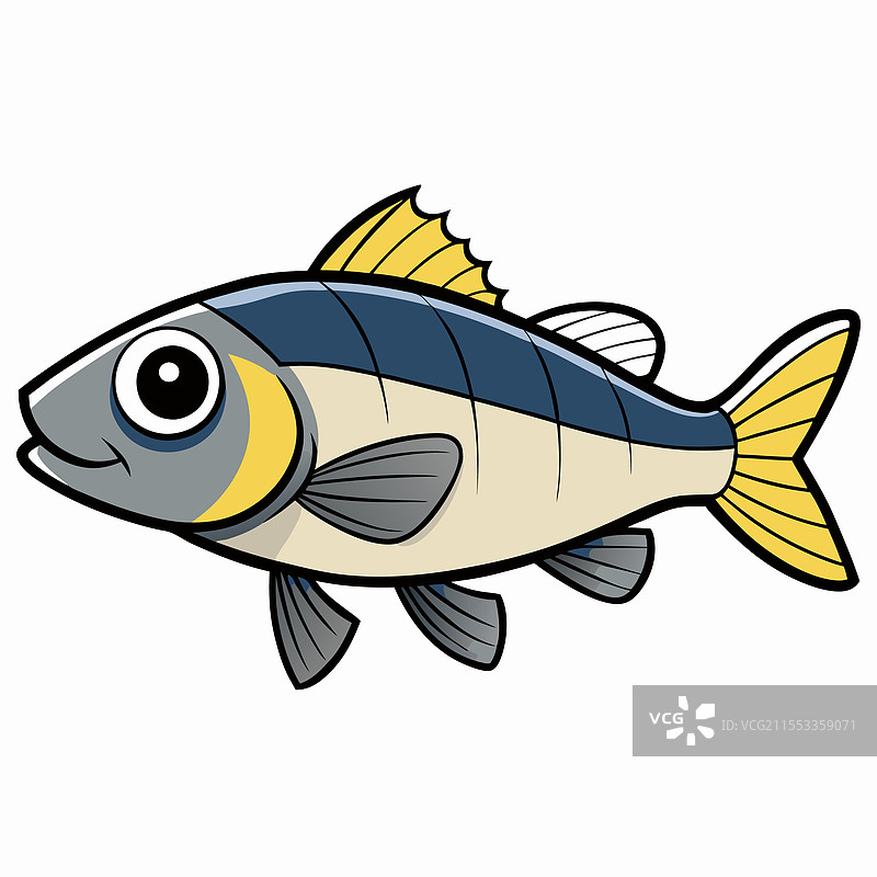 海鲈鱼在白色背景上孤立展示图片素材