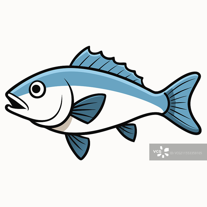 海鲈鱼在白色背景上孤立展示图片素材