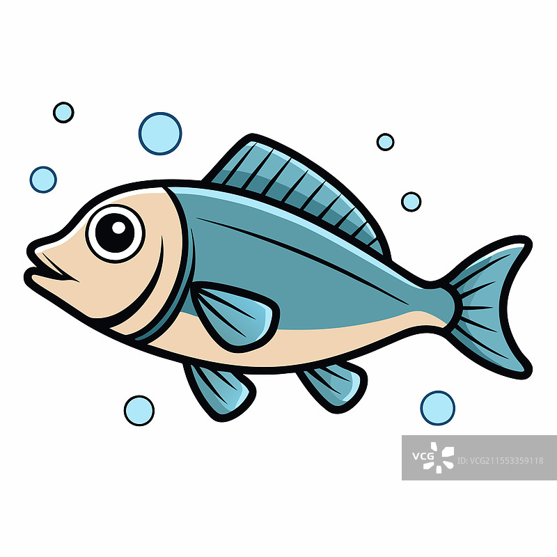 海鲈鱼在白色背景上孤立展示图片素材