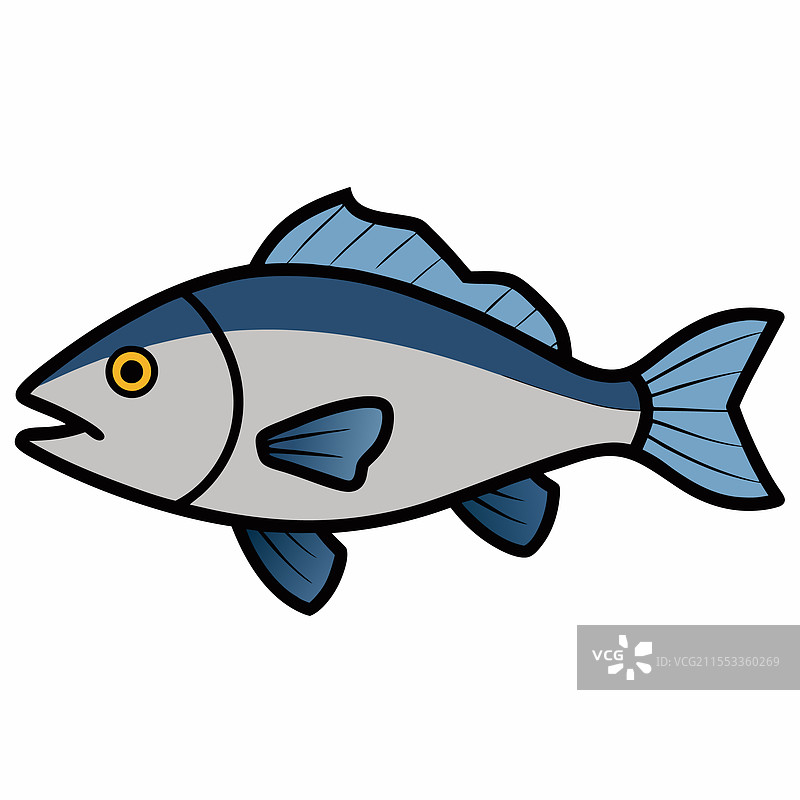 羊头鱼在白色背景上孤立平放图片素材