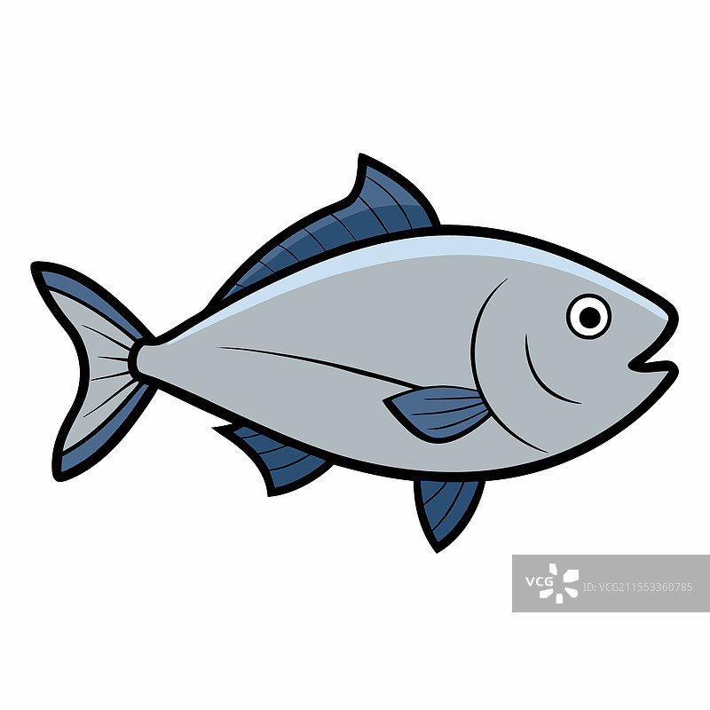 银边鱼在白色背景上平放孤立。图片素材