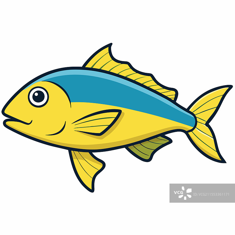单独放置在白色背景上的鲷鱼图片素材