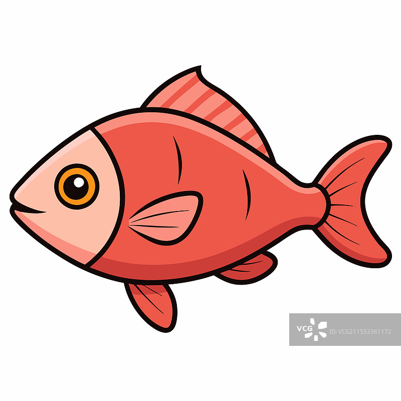 单独放置在白色背景上的鲷鱼图片素材